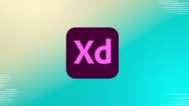 UI/UX Design Masterclass with Adobe XD: From Beginner to Pro The Complete Guide ...