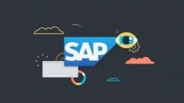 SAP BusinessObjects Essential Training Create data visualization, monitor perfor...