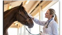 Equine Medicine Addressing Common /Complex Problems From Colic to Lameness: A Co...